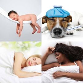 4 Images 1 Mot Mai 11 2020 Puzzle bonus