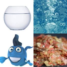 4 Images 1 Mot Juin 7 2020 Puzzle bonus