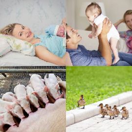 4 Images 1 Mot Février 17 2020 Puzzle bonus