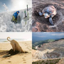 4 Images 1 Mot Énigmes journaliére Juillet 26 2024