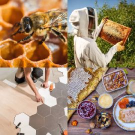 4 Images 1 Mot niveau 6694