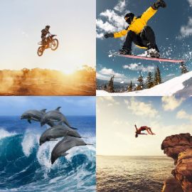 4 Images 1 Mot niveau 22