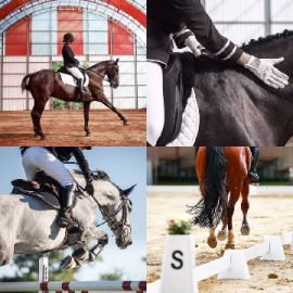 4 Images 1 Mot niveau 324