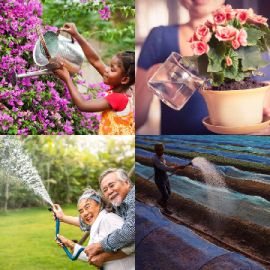 4 Images 1 Mot Juin 20 2025 Puzzle bonus