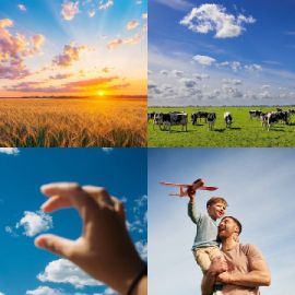 4 Images 1 Mot niveau 804