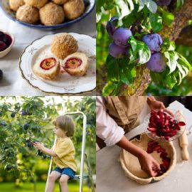 4 Images 1 Mot niveau 6624