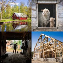 4 Images 1 Mot Énigmes journaliére Juin 20 2025