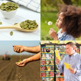 4 Images 1 Mot Énigmes journaliére Juin 27 2025