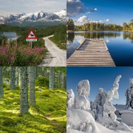 4 Images 1 Mot niveau 2999