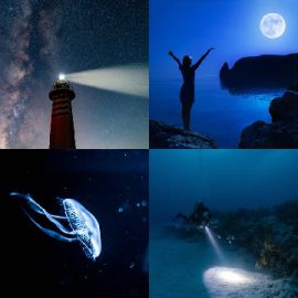4 Images 1 Mot niveau 5323