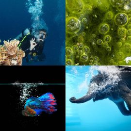 4 Images 1 Mot niveau 5941