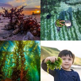 4 Images 1 Mot Juillet 11 2025 Puzzle bonus