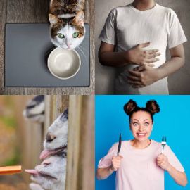 4 Images 1 Mot Septembre 1 2025 Puzzle bonus