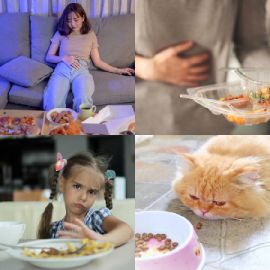 4 Images 1 Mot niveau 6724