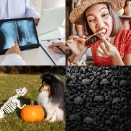 4 Images 1 Mot niveau 5431