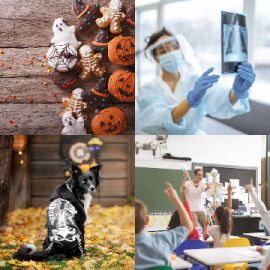 4 Images 1 Mot Octobre 1 2025 Puzzle bonus