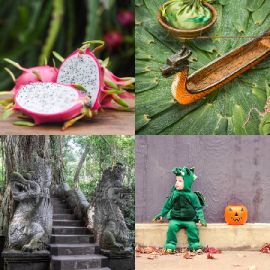4 Images 1 Mot Octobre 9 2025 Puzzle bonus