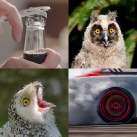 4 Images 1 Mot niveau 6716