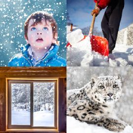 4 Images 1 Mot Énigmes journaliére Décembre 1 2025