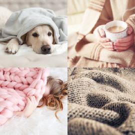 4 Images 1 Mot Énigmes journaliére Décembre 9 2025