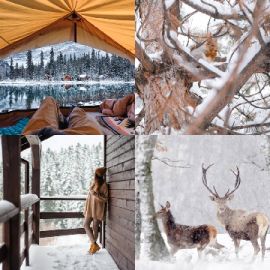 4 Images 1 Mot Énigmes journaliére Décembre 21 2025