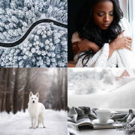 4 Images 1 Mot Décembre 1 2025 Puzzle bonus