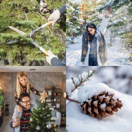 4 Images 1 Mot Énigmes journaliére Décembre 25 2025