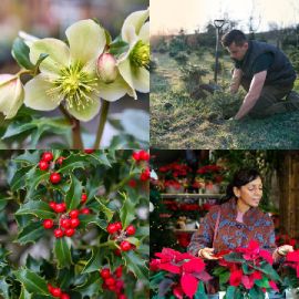 4 Images 1 Mot Énigmes journaliére Décembre 6 2025