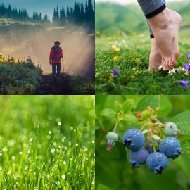 4 Images 1 Mot Janvier 27 2026 Puzzle bonus