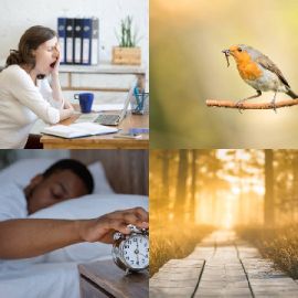 4 Images 1 Mot Janvier 11 2026 Puzzle bonus