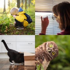 4 Images 1 Mot Janvier 12 2026 Puzzle bonus