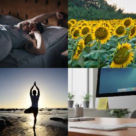 4 Images 1 Mot Énigmes journaliére Janvier 9 2026