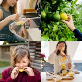 4 Images 1 Mot niveau 2299