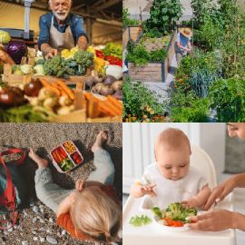 4 Images 1 Mot Énigmes journaliére Janvier 8 2026