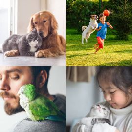 4 Images 1 Mot Énigmes journaliére Février 22 2026