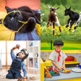 4 Images 1 Mot Février 2 2026 Puzzle bonus