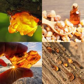 4 Images 1 Mot Avril 8 2026 Puzzle bonus