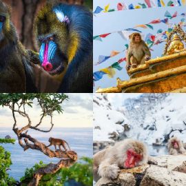 4 Images 1 Mot Énigmes journaliére Avril 23 2026