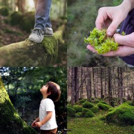 4 Images 1 Mot Énigmes journaliére Avril 3 2026