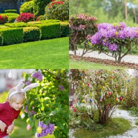 4 Images 1 Mot Énigmes journaliére Avril 8 2026