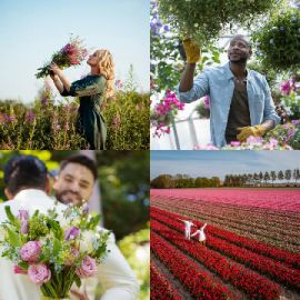 4 Images 1 Mot Avril 2 2026 Puzzle bonus