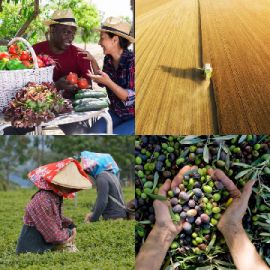 4 Images 1 Mot Avril 21 2026 Puzzle bonus