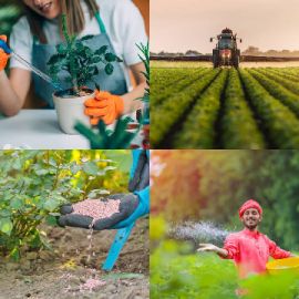 4 Images 1 Mot Avril 7 2026 Puzzle bonus