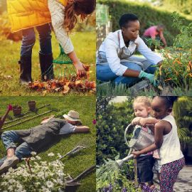 4 Images 1 Mot Avril 12 2026 Puzzle bonus