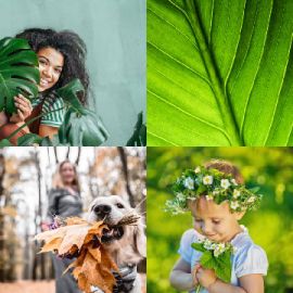4 Images 1 Mot Énigmes journaliére Avril 15 2026