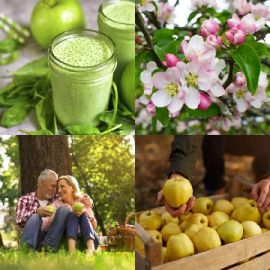 4 Images 1 Mot Énigmes journaliére Avril 28 2026