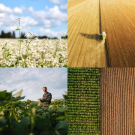 4 Images 1 Mot Énigmes journaliére Avril 6 2026