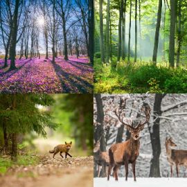 4 Images 1 Mot Énigmes journaliére Avril 14 2026