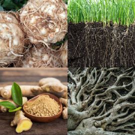 4 Images 1 Mot Énigmes journaliére Avril 19 2026