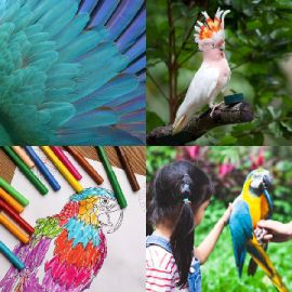 4 Images 1 Mot Énigmes journaliére Avril 20 2026